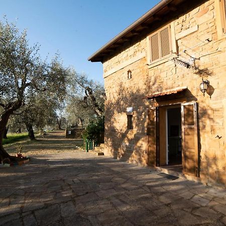 Casetta Maduneta Immersa In Un Oliveto Dolceacqua Zewnętrze zdjęcie