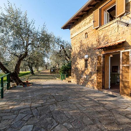 Casetta Maduneta Immersa In Un Oliveto Dolceacqua Zewnętrze zdjęcie