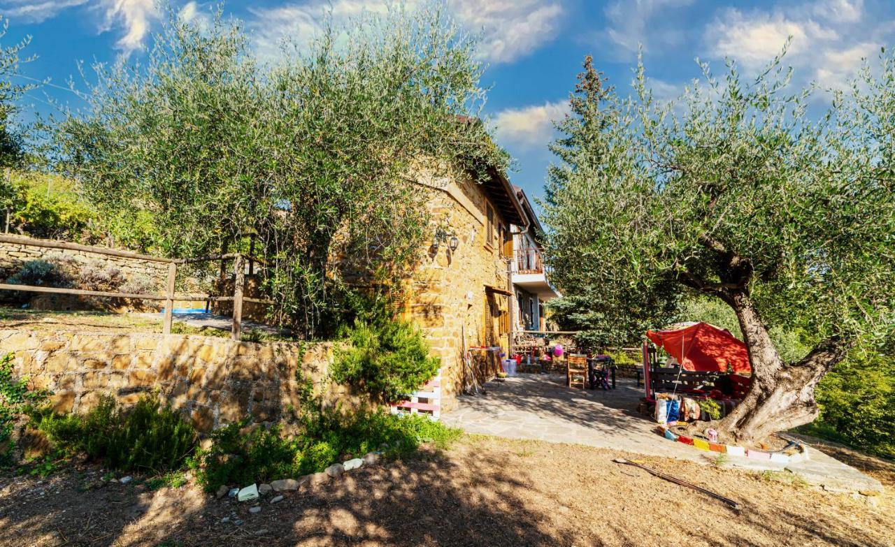 Casetta Maduneta Immersa In Un Oliveto Dolceacqua Zewnętrze zdjęcie