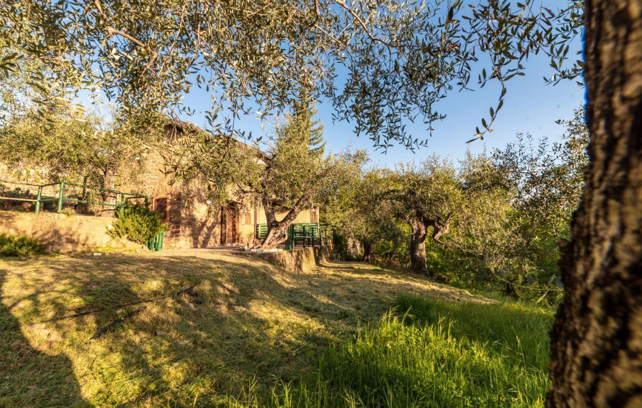 Casetta Maduneta Immersa In Un Oliveto Dolceacqua Zewnętrze zdjęcie